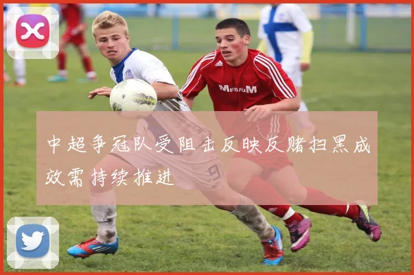 中超争冠队受阻击反映反赌扫黑成效需持续推进